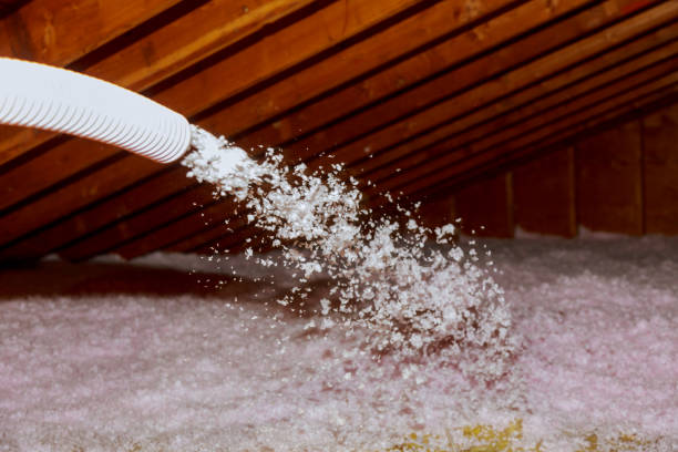 Best Batt and Roll Insulation  in Gra Forks, ND